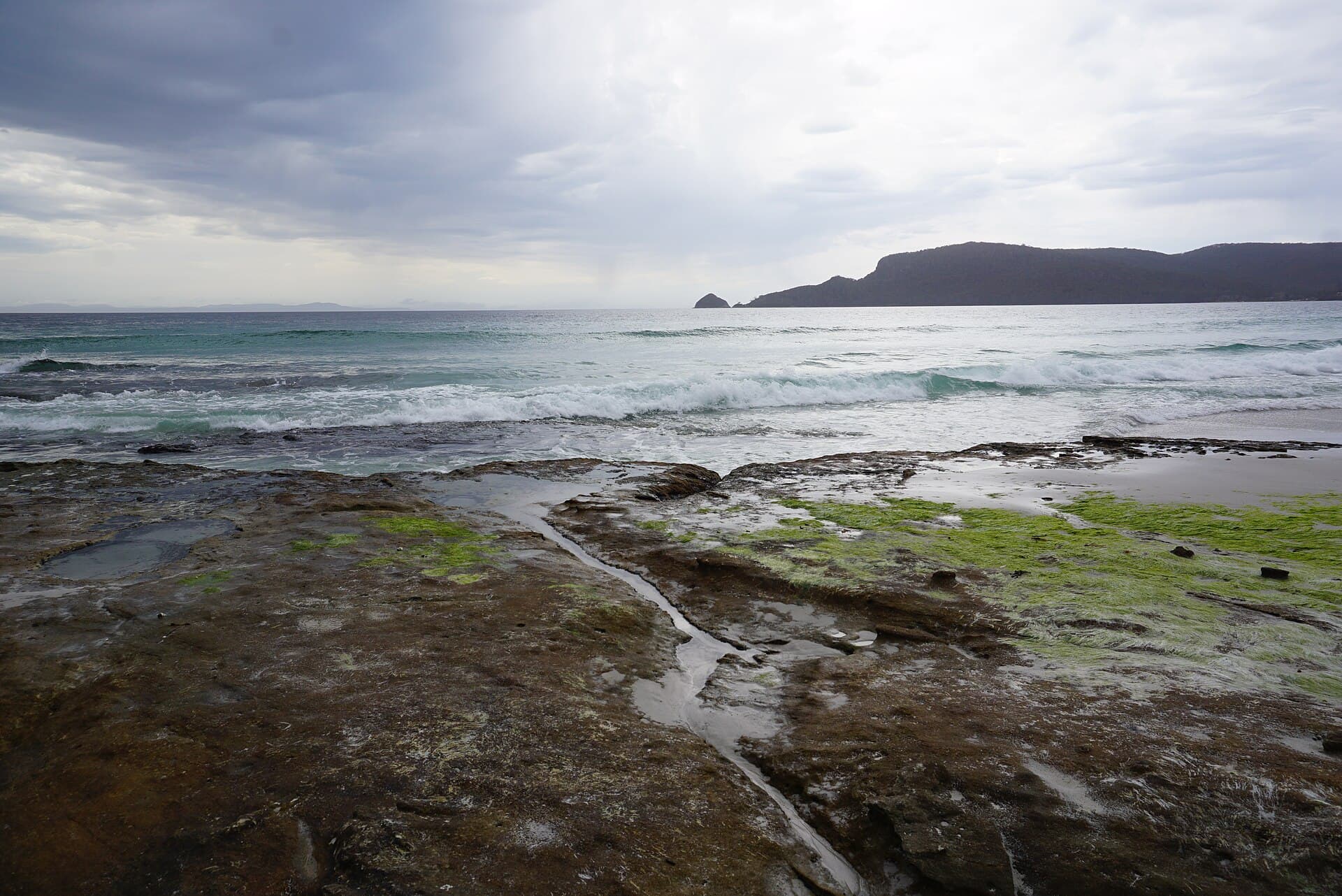 Things to Do in Bruny Island, Tasmania: The Local Guide