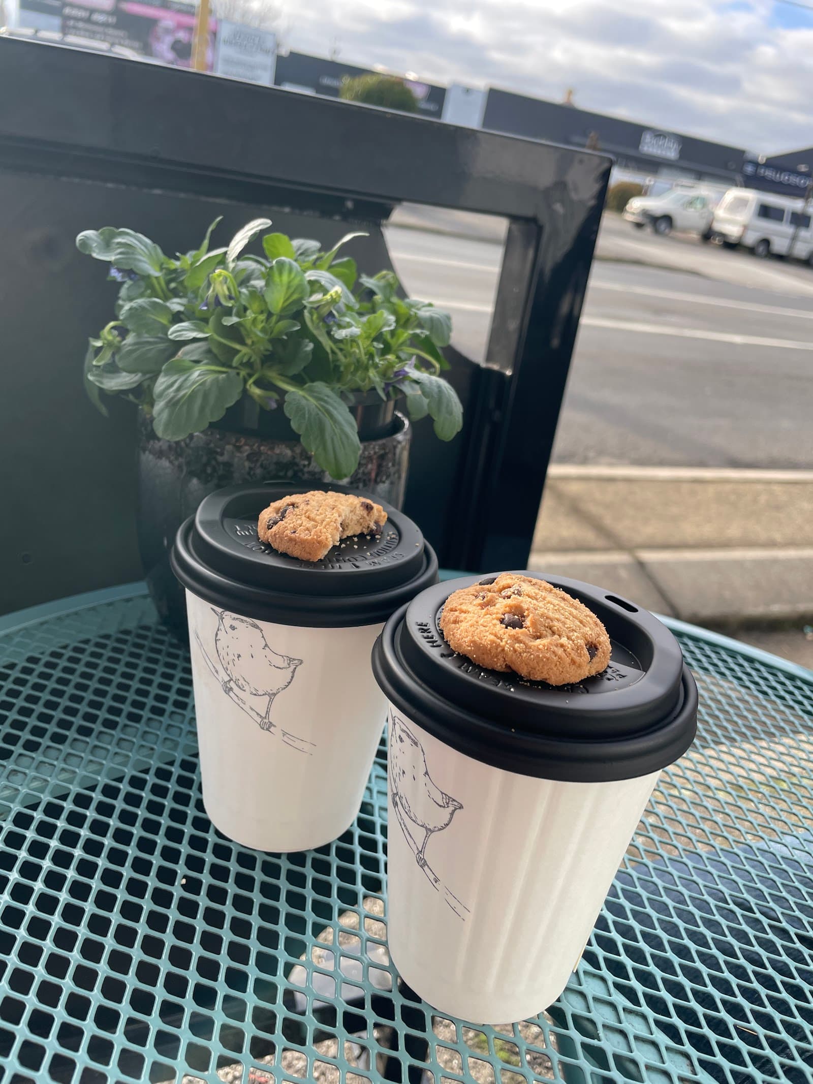 The Flying Sparrow Cafe — Launceston, Tasmania