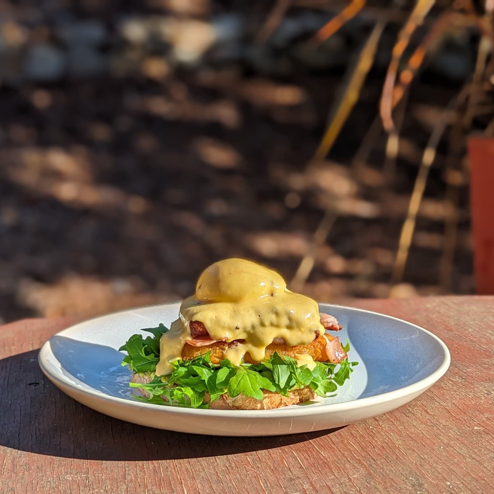 Secret Buddha Café — Burnie, Tasmania