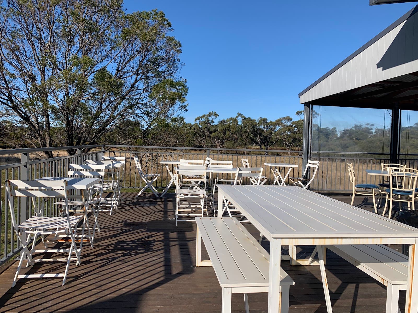 The Pondering Frog — Freycinet, Tasmania