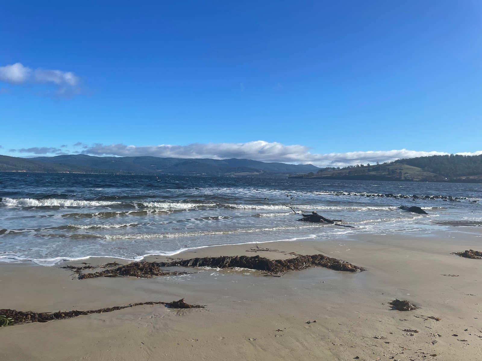 Bruny Island Wild - Cafe & Events Venue — Bruny Island, Tasmania