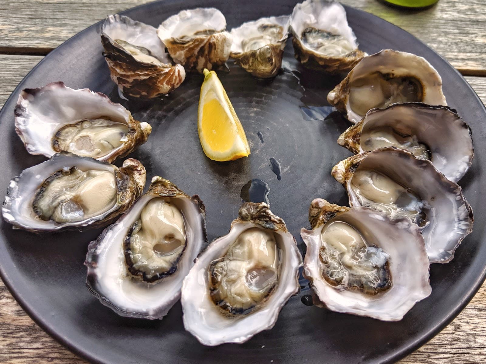 Get Shucked — Bruny Island, Tasmania
