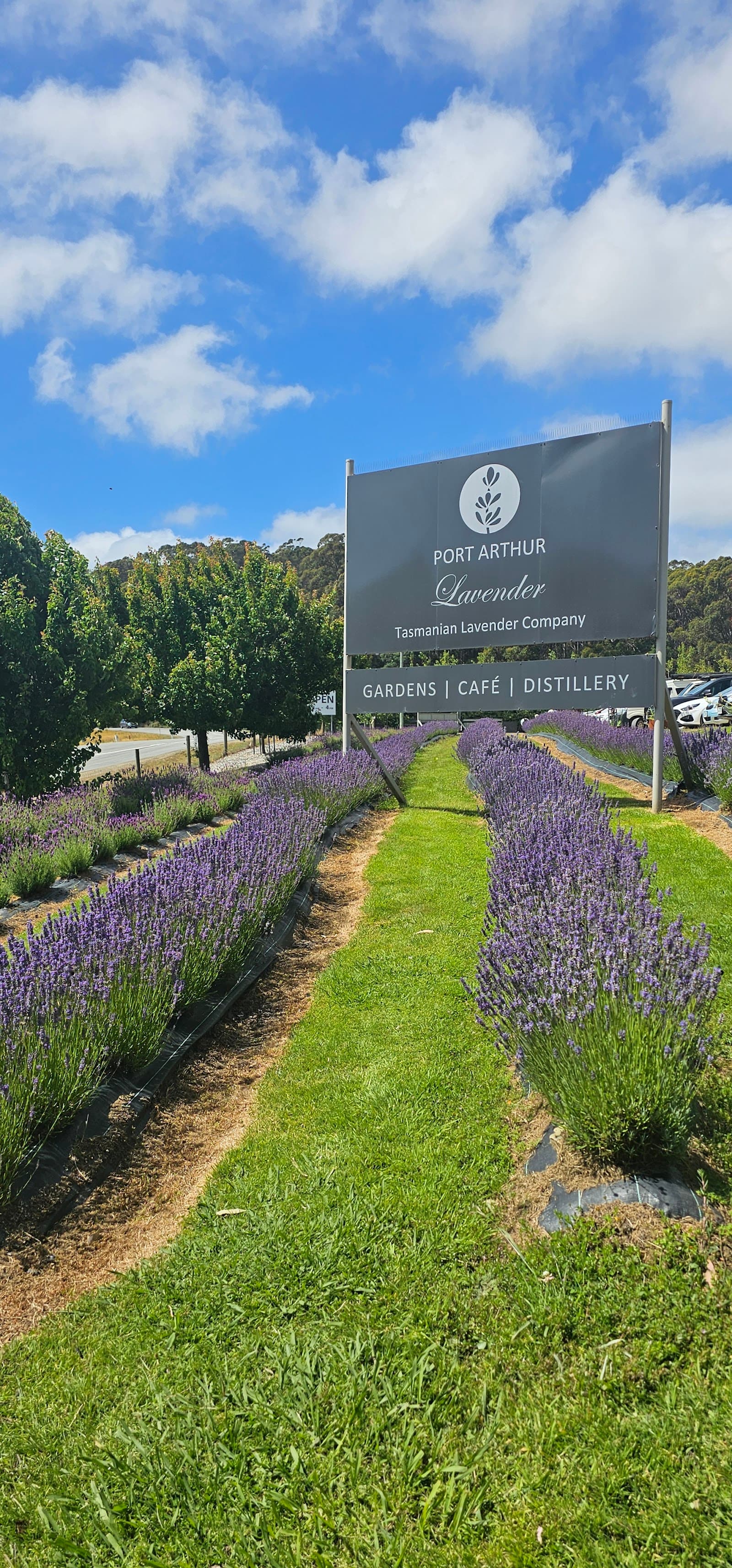 Port Arthur Lavender — Port Arthur, Tasmania