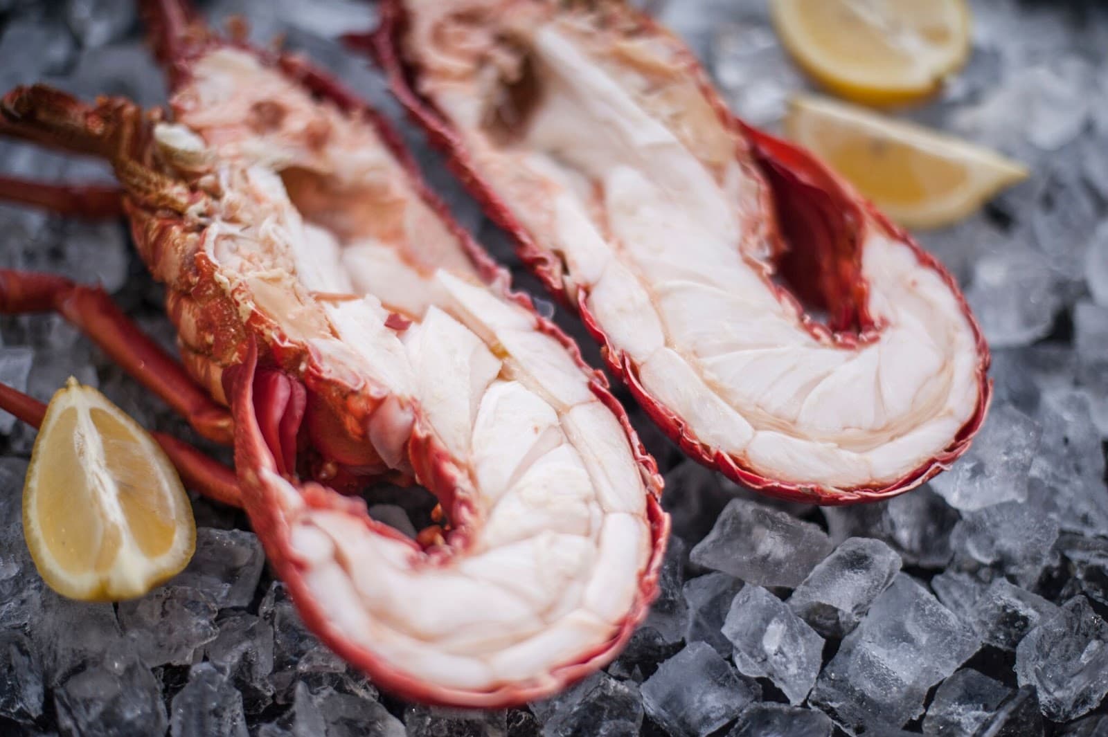 Lobster Shack Tasmania — Freycinet, Tasmania