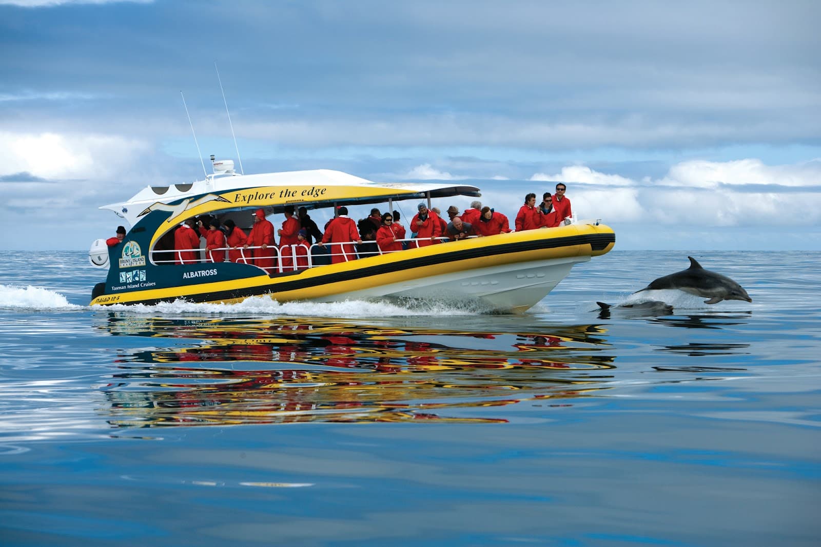 Bruny Island Cruises — Bruny Island, Tasmania