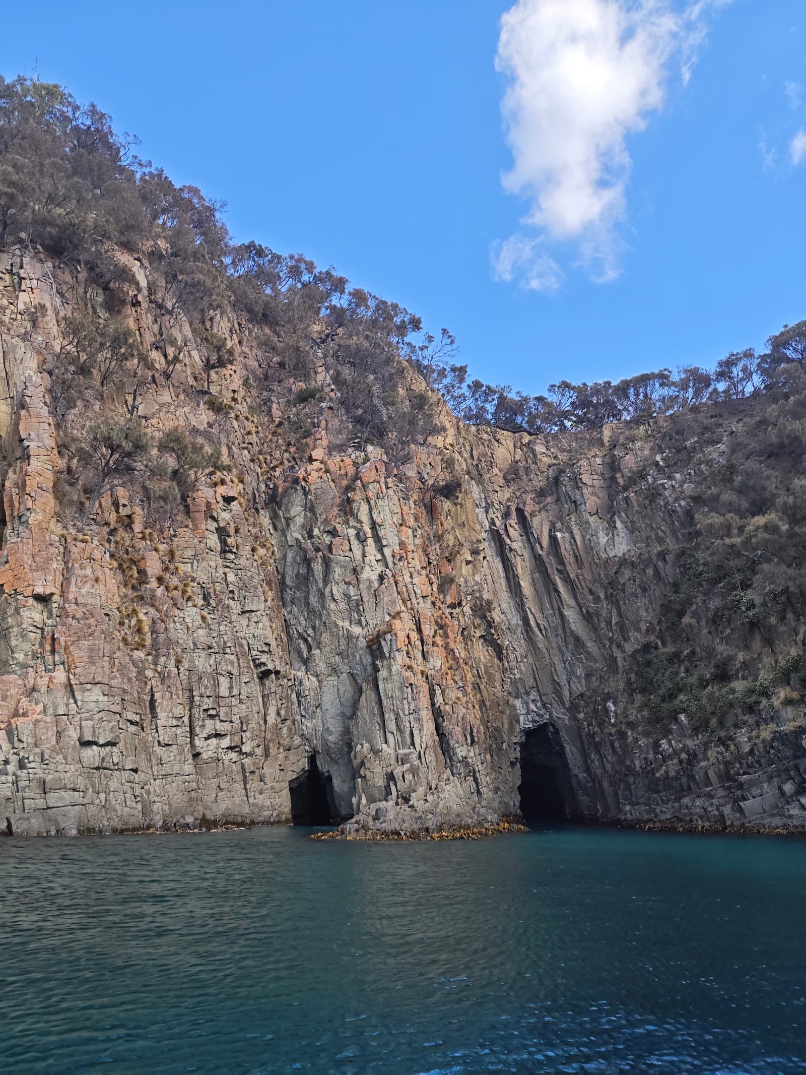 Bruny Island Cruises — Bruny Island, Tasmania