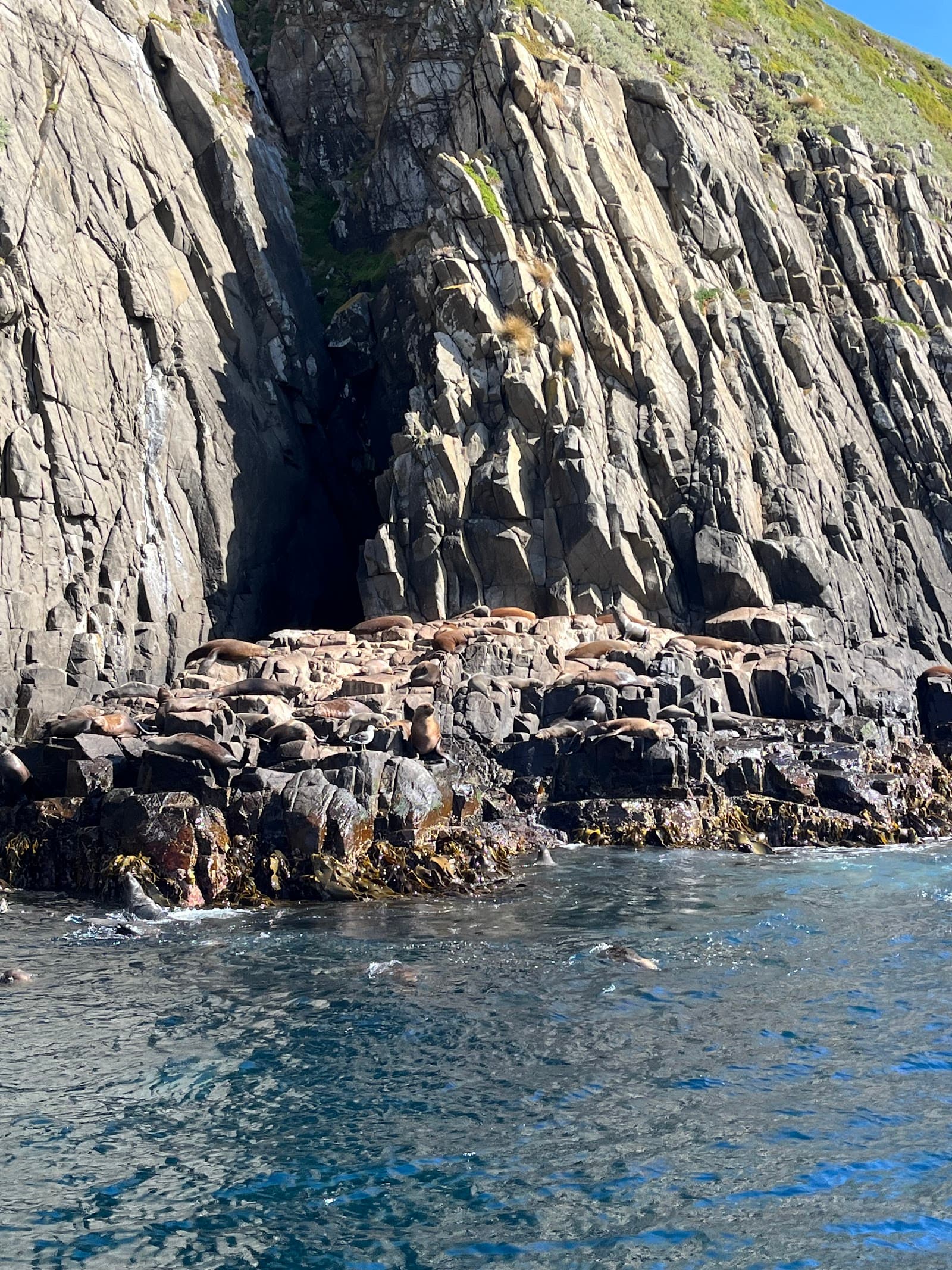 Pennicott Wilderness Journeys — Bruny Island, Tasmania