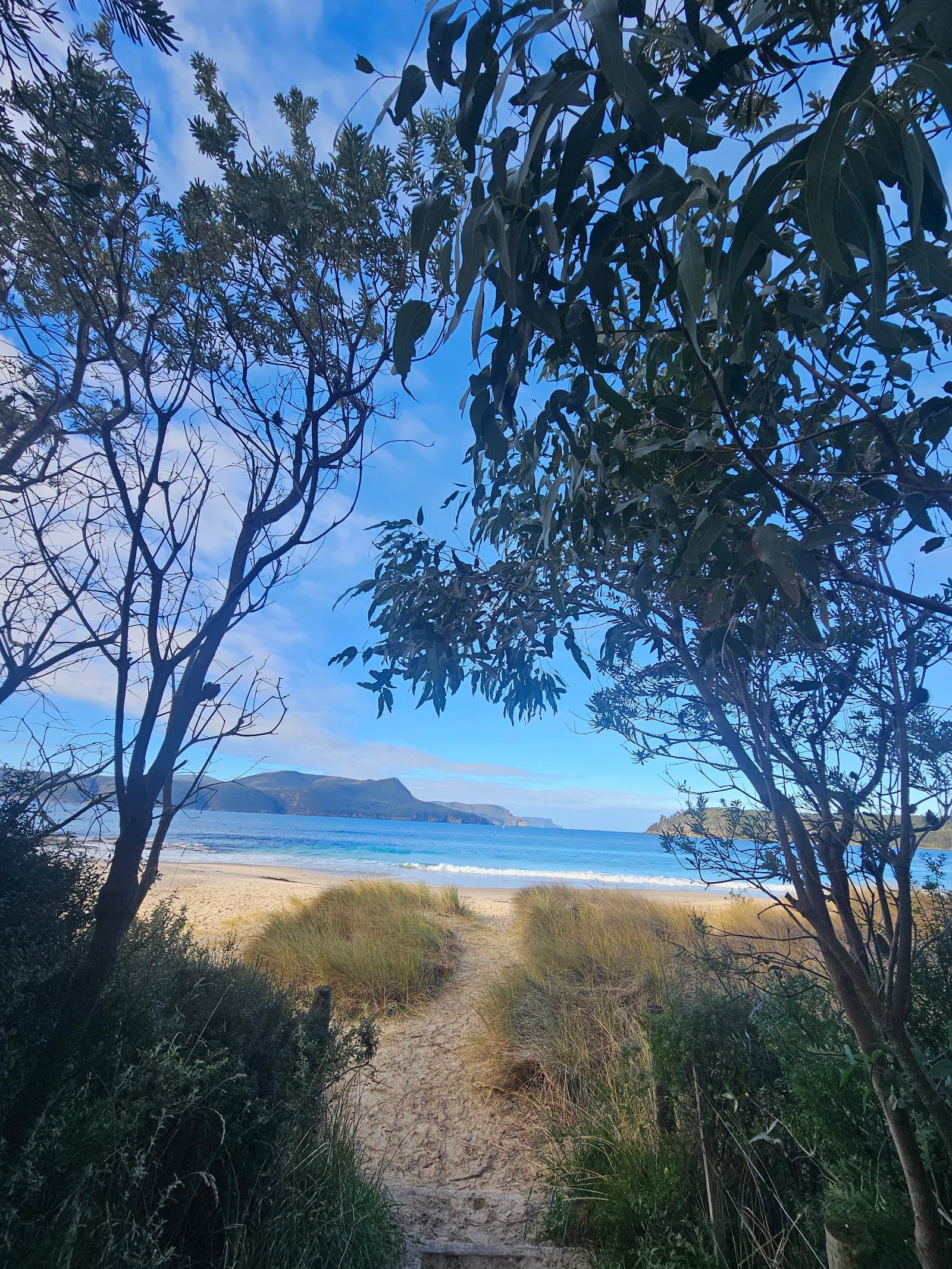 Safety Cove beach — Port Arthur, Tasmania