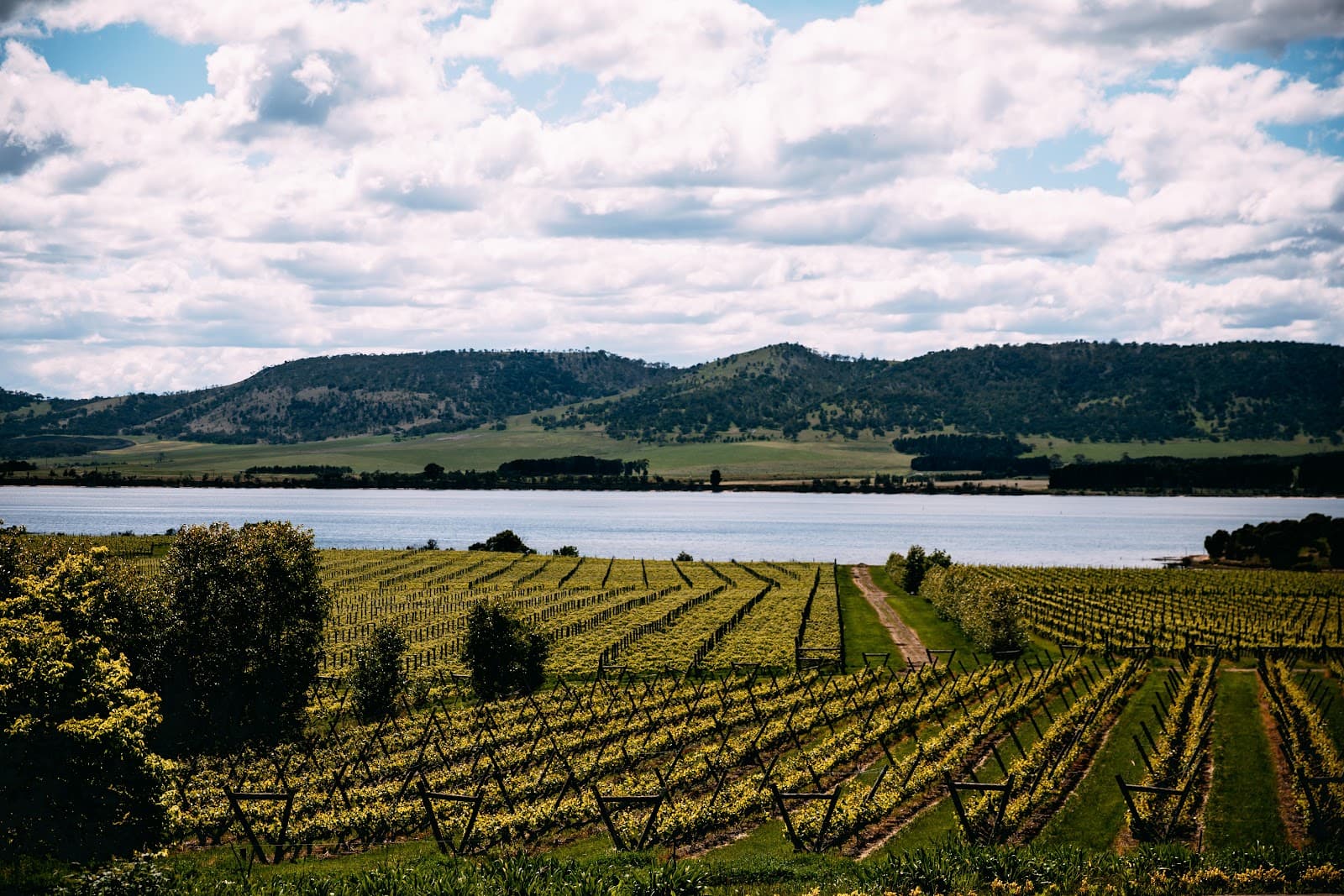 Riversdale Estate Winery, Cellar Door & French Bistro — Richmond, Tasmania