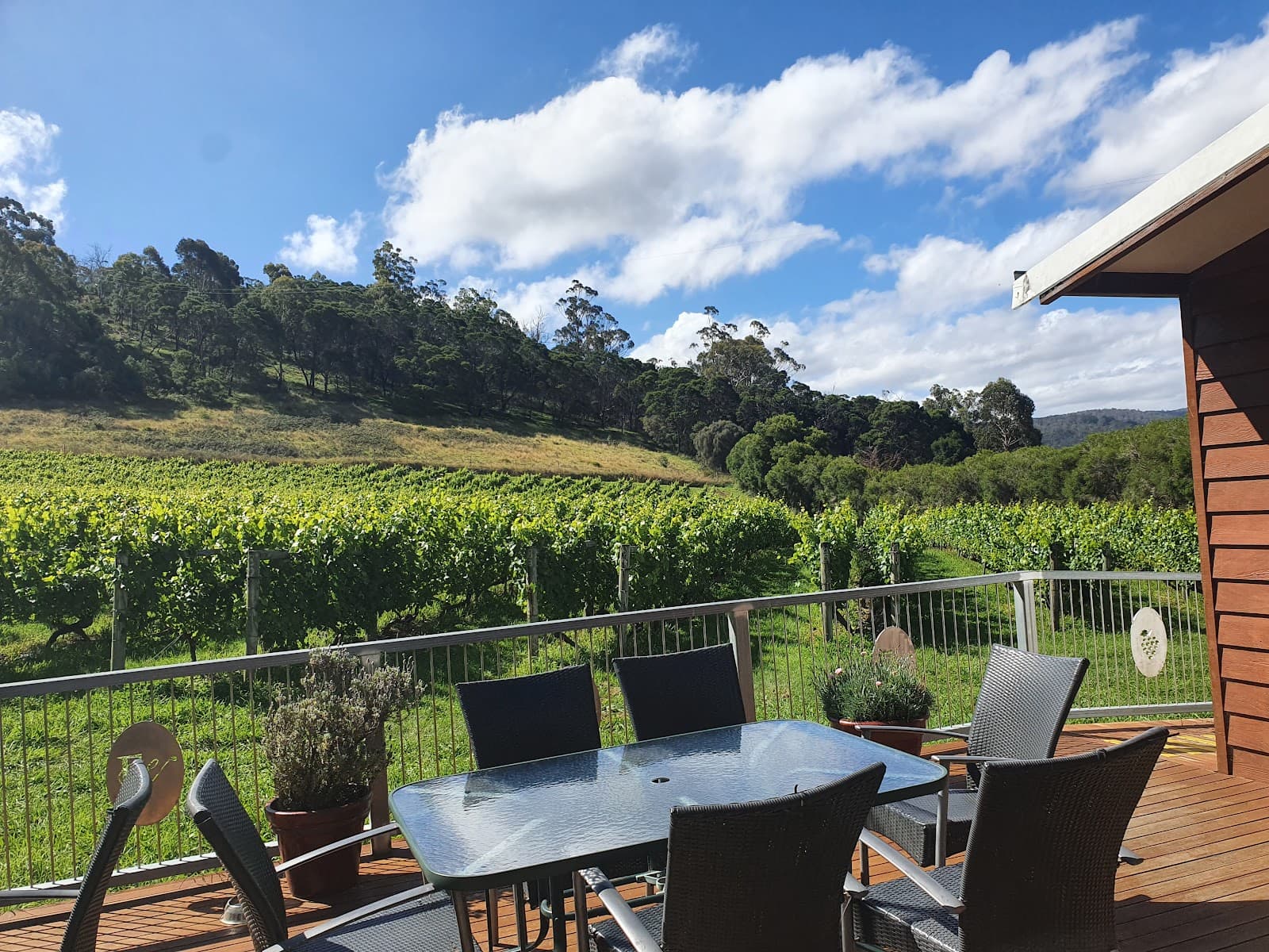 Freycinet Vineyards — Freycinet, Tasmania