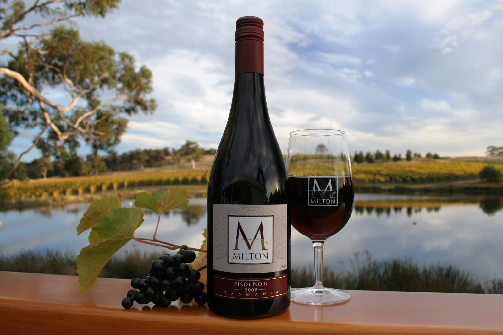 Milton Vineyard — Freycinet, Tasmania