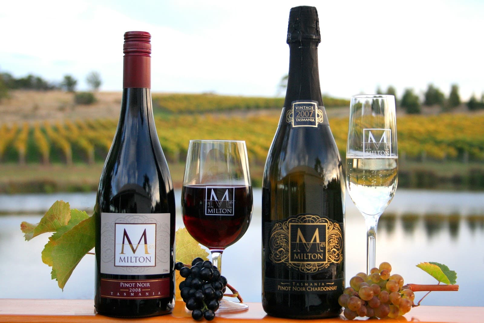 Milton Vineyard — Freycinet, Tasmania