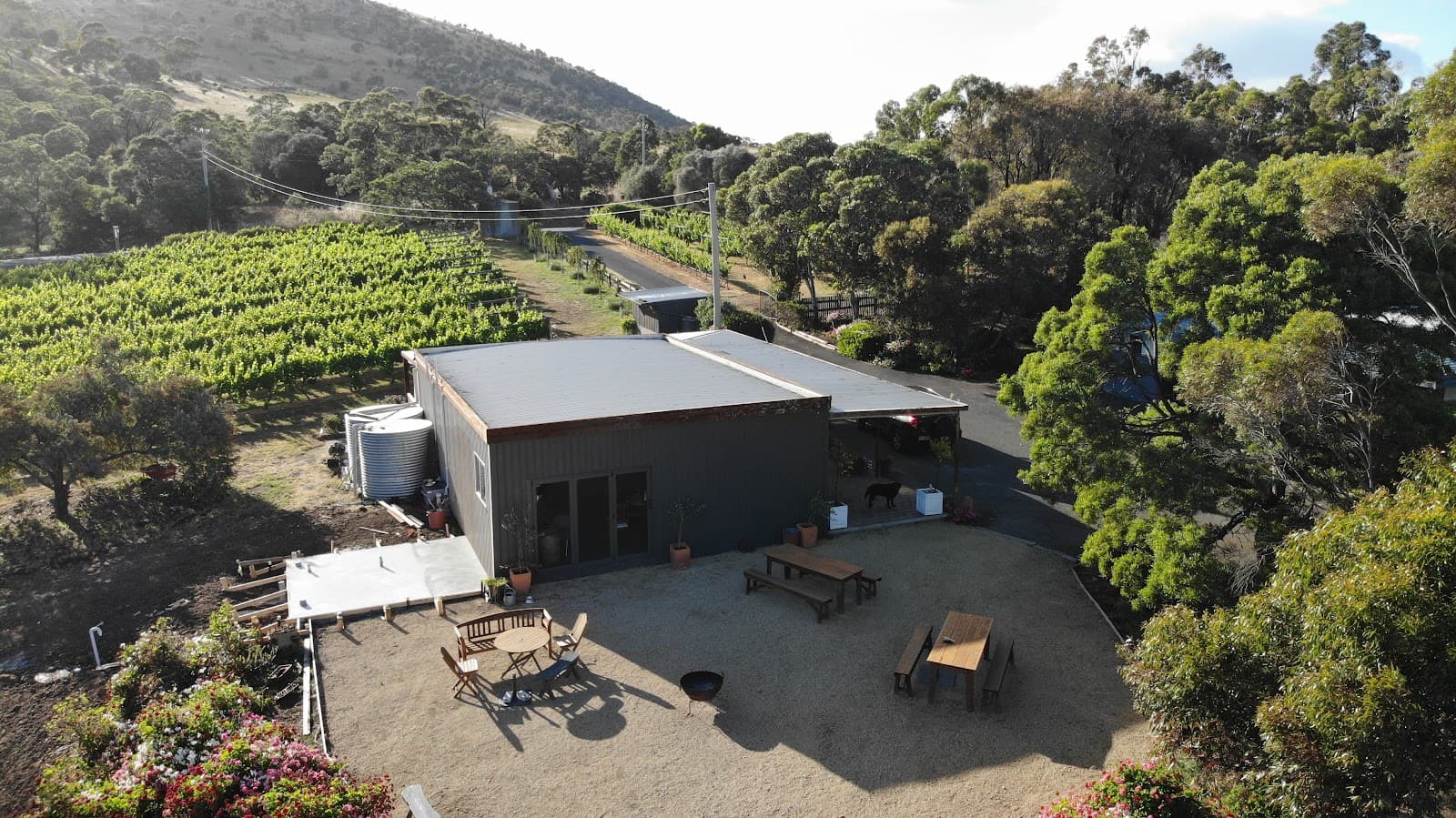 Every Man & His Dog Vineyard — Richmond, Tasmania