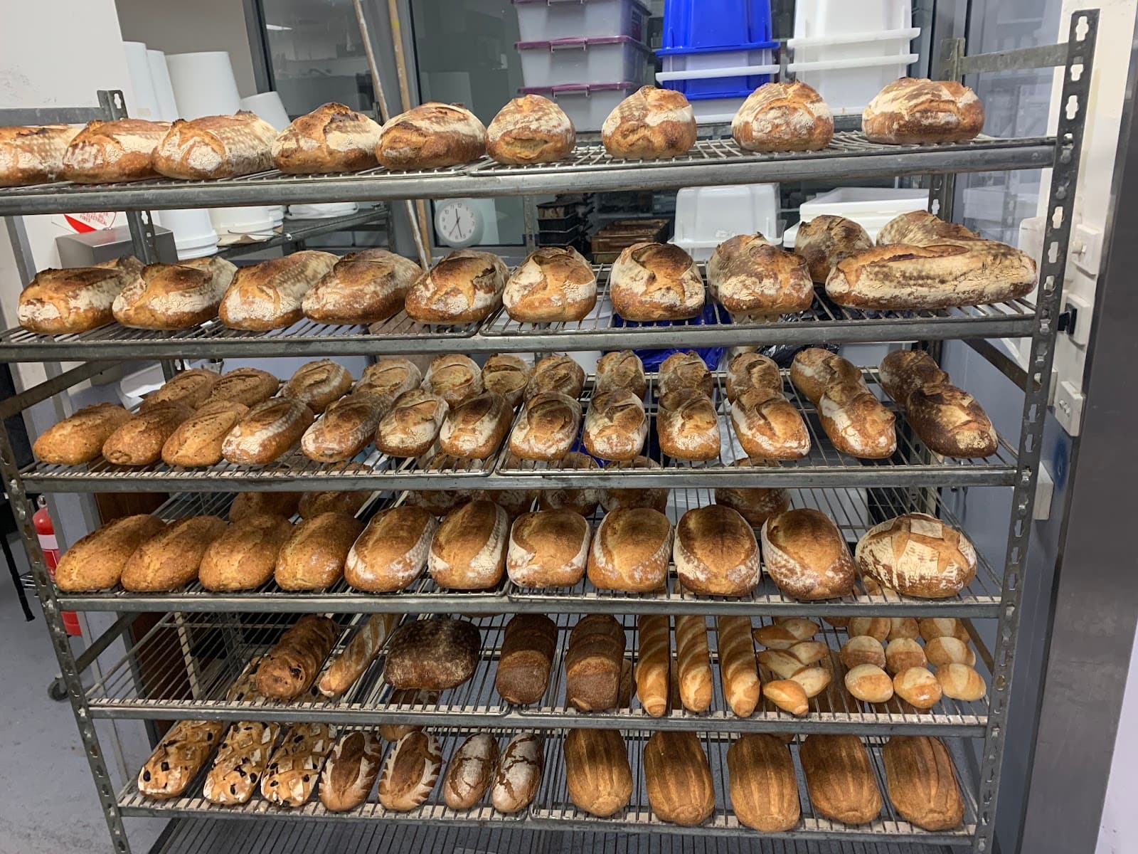 Manubread — Launceston, Tasmania