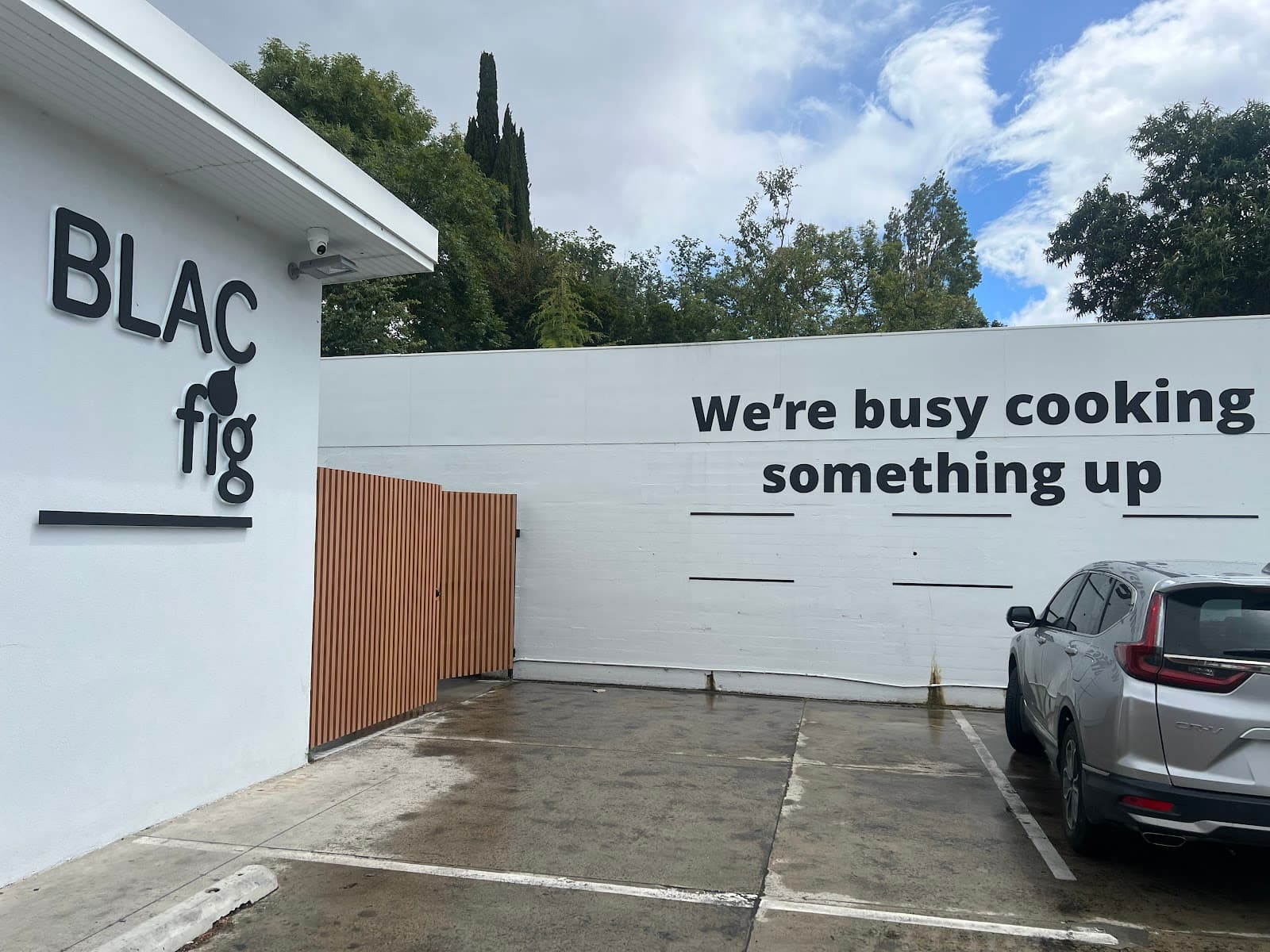 Blac Fig — Port Arthur, Tasmania