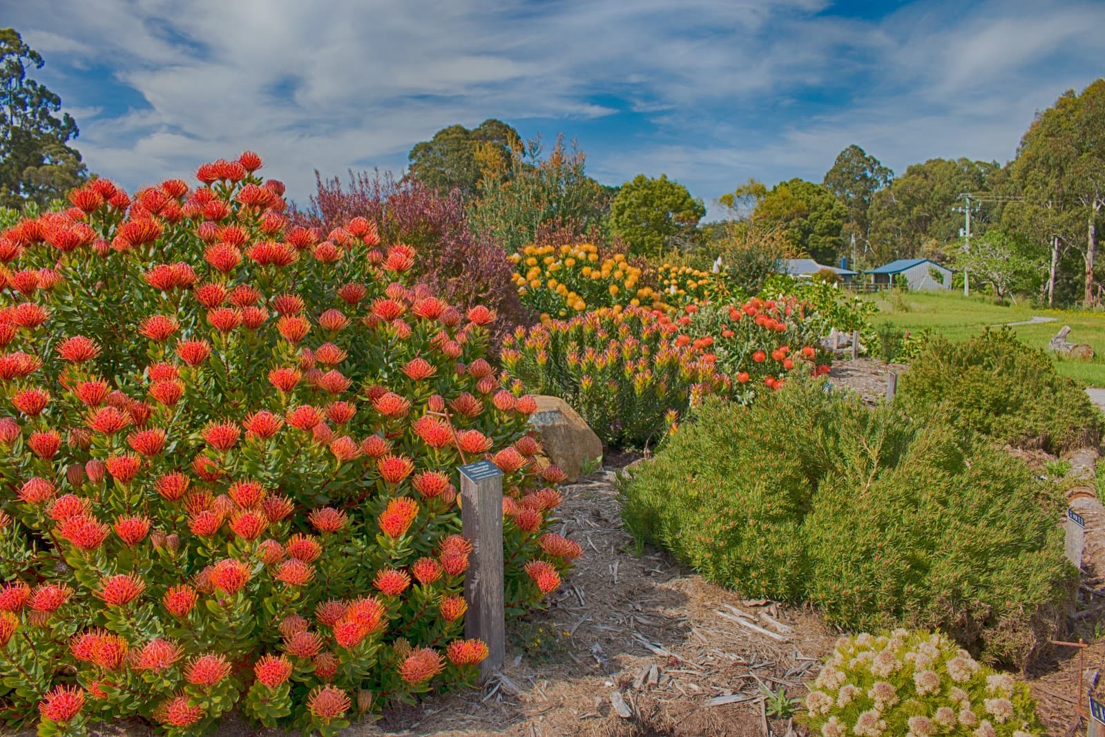Inala Jurassic Garden — Bruny Island, Tasmania