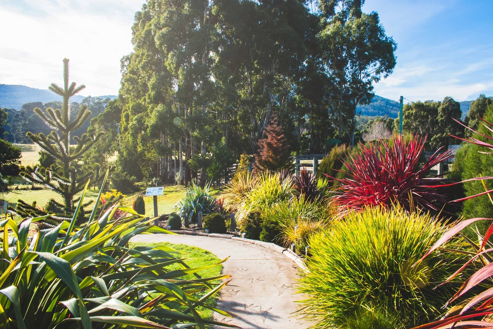 Inala Jurassic Garden — Bruny Island, Tasmania