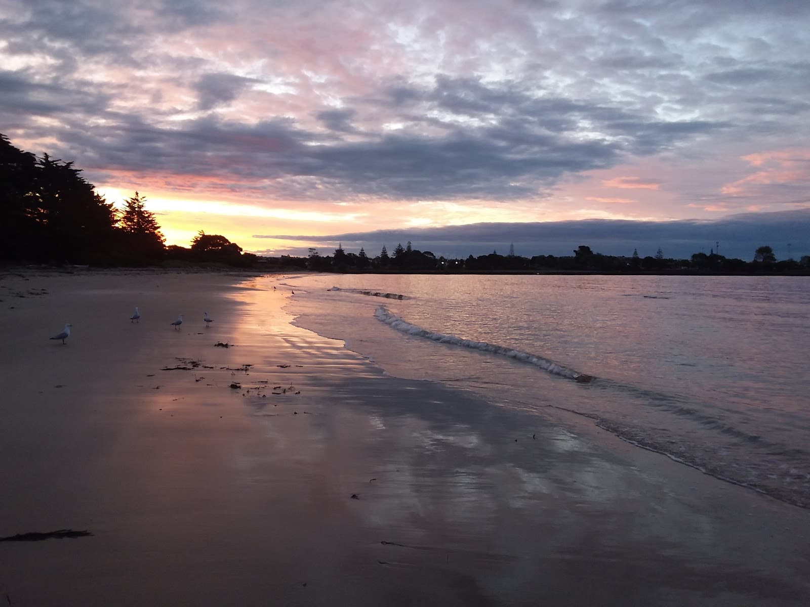 Alice Beside The Sea — Devonport, Tasmania