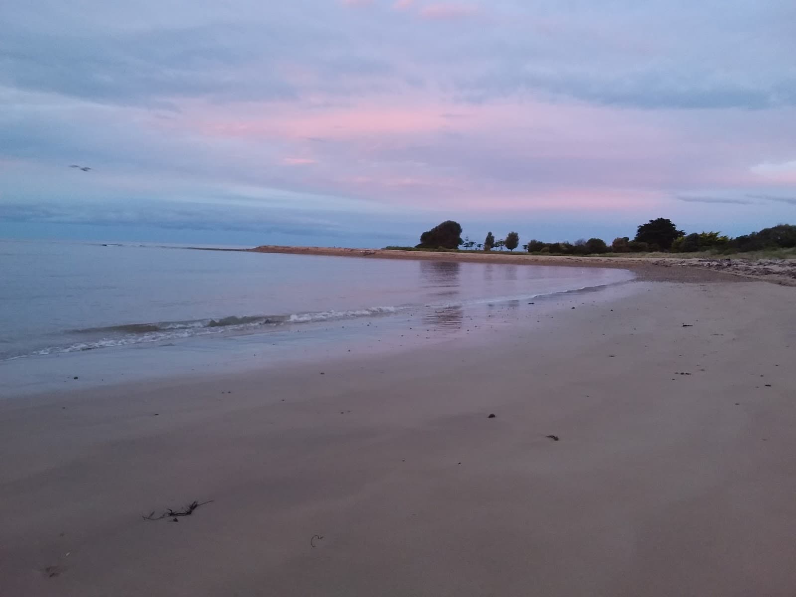 Alice Beside The Sea — Devonport, Tasmania
