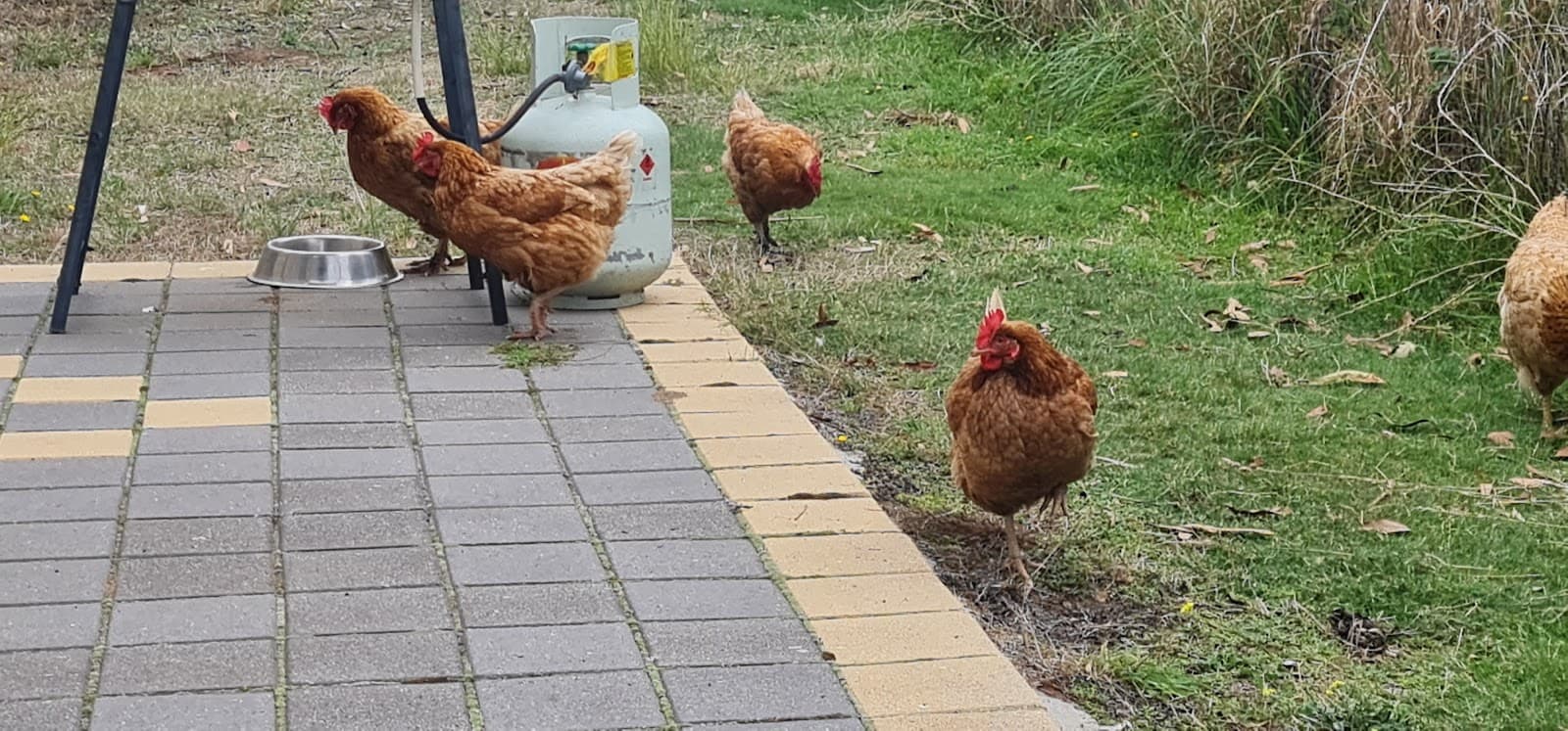 Taras Richmond Farmstay — Richmond, Tasmania