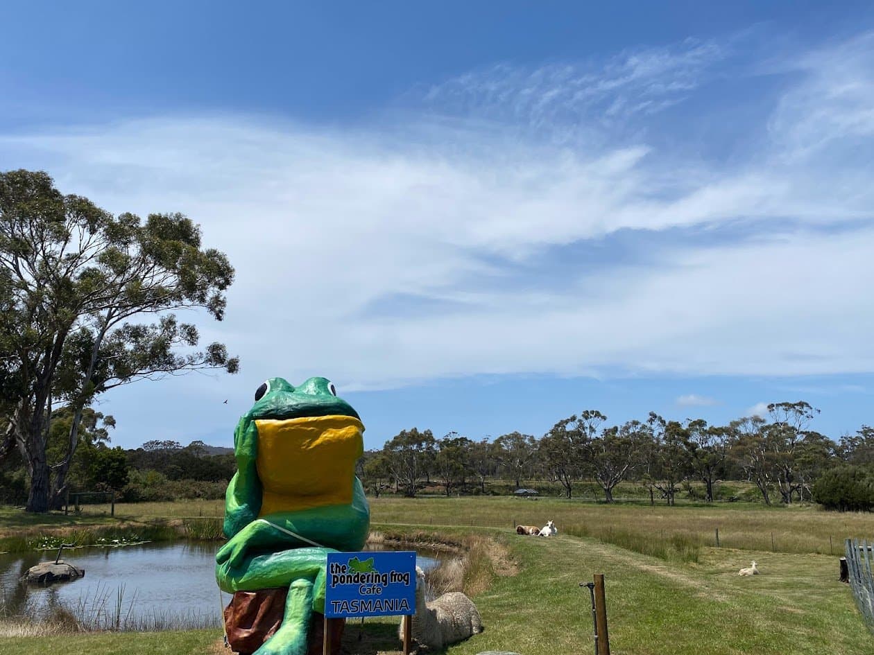 The Pondering Frog