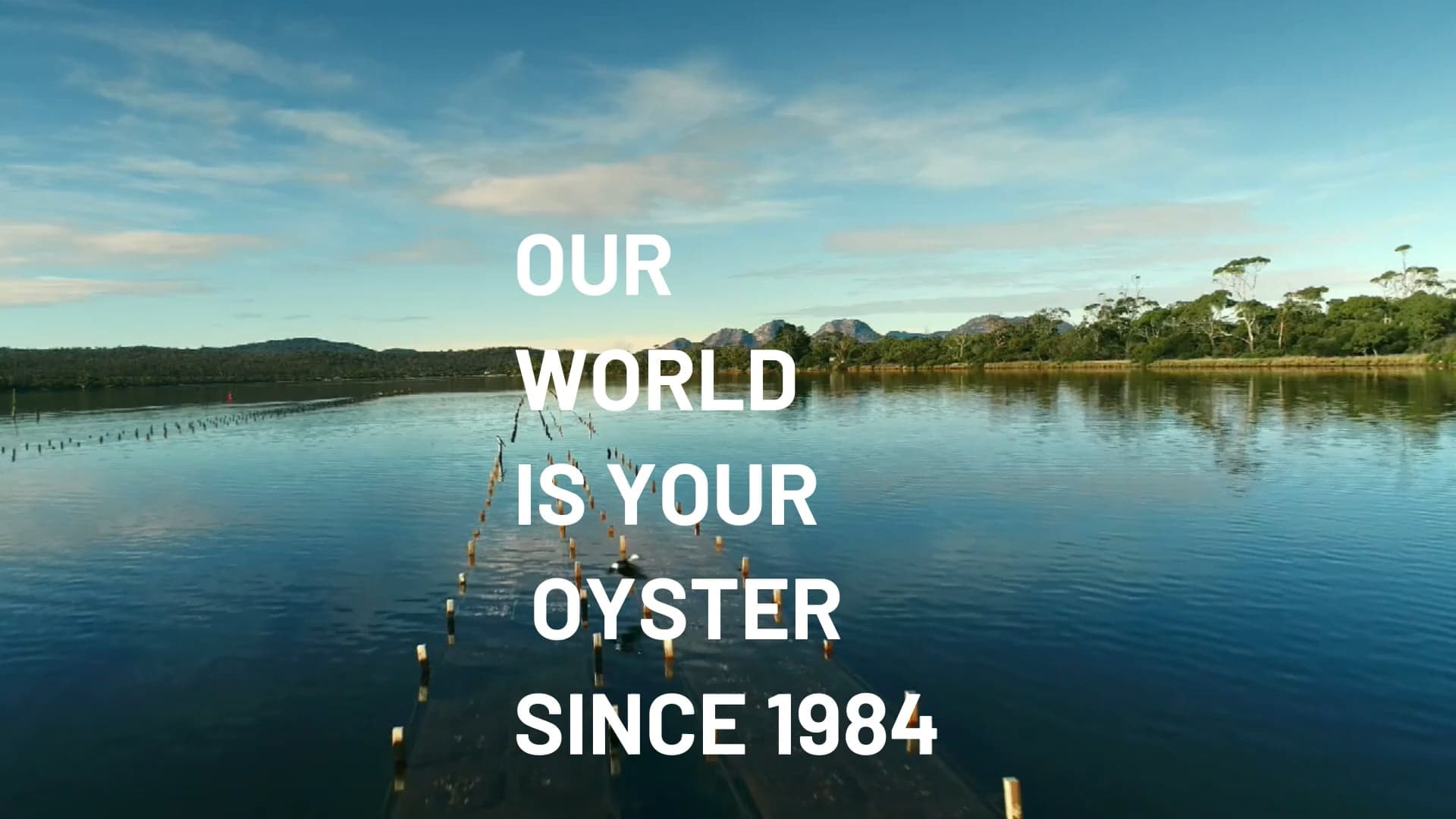 Melshell Oyster Shack