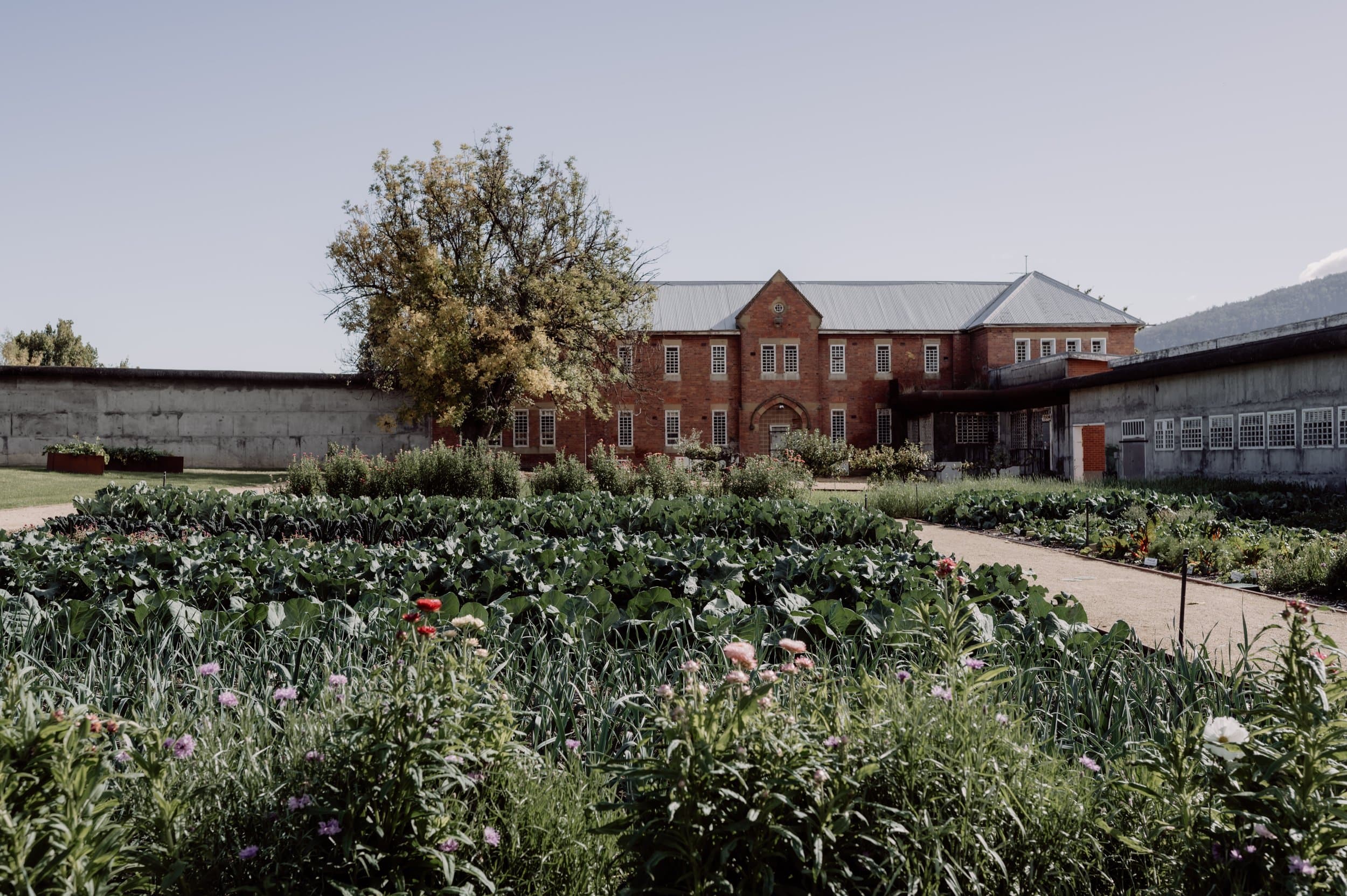 The Agrarian Kitchen