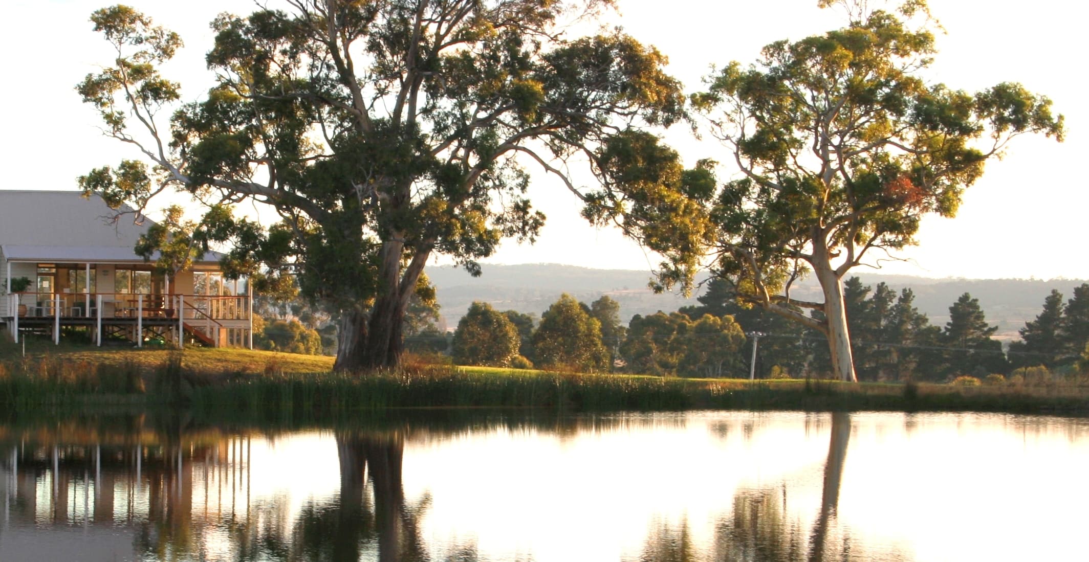 Milton Vineyard