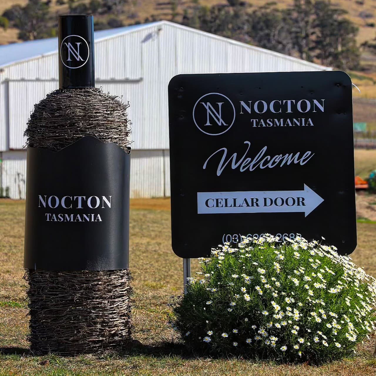 Nocton Vineyard