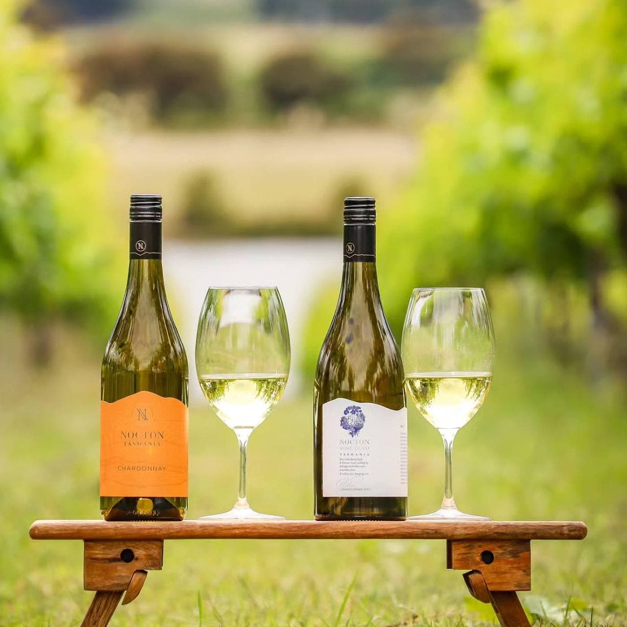 Nocton Vineyard