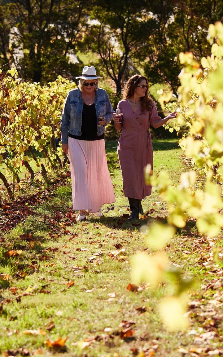 Every Man & His Dog Vineyard