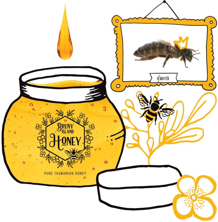 Bruny Island Honey